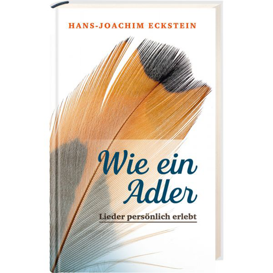 Wie ein Adler